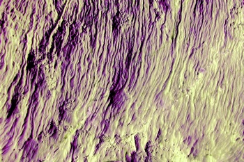 AP 84A1
